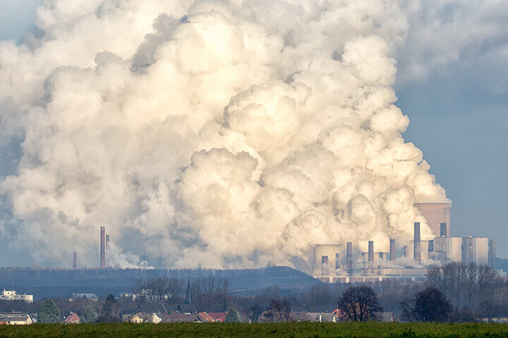 Coal